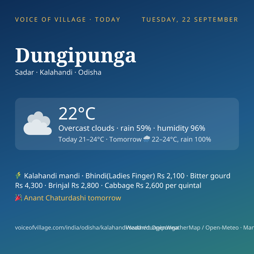 Dungipunga today