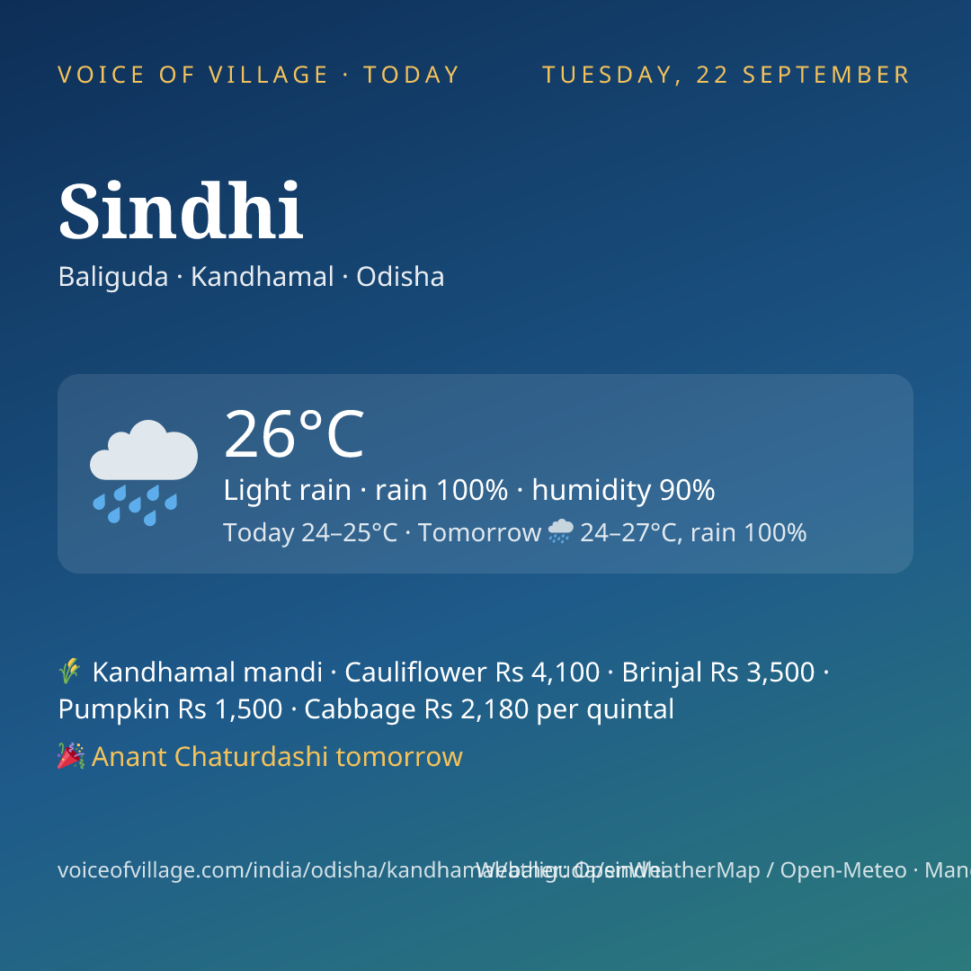 Sindhi today