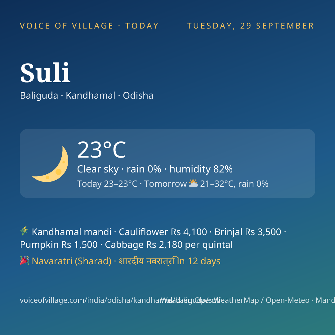 Suli today