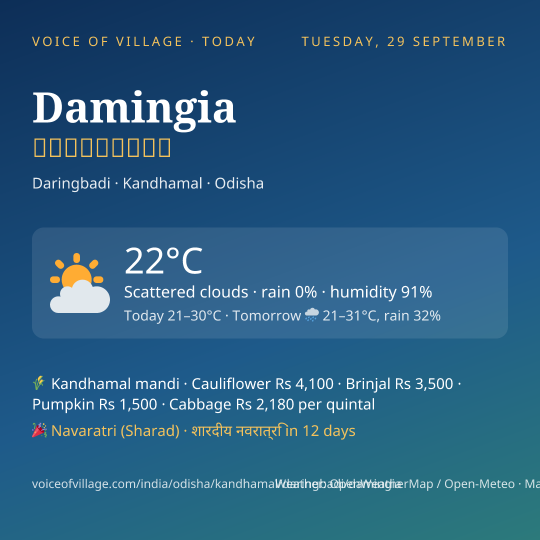 Damingia today