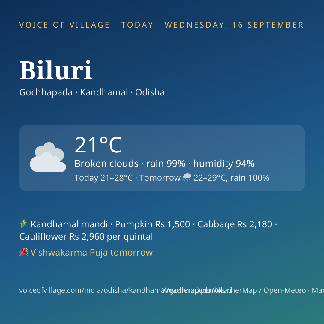 Biluri today