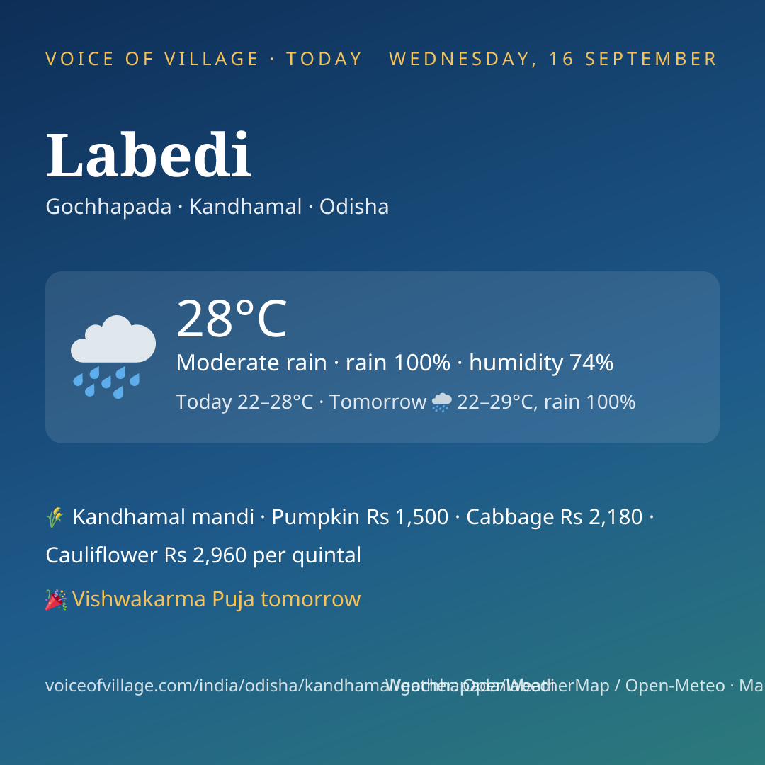 Labedi today
