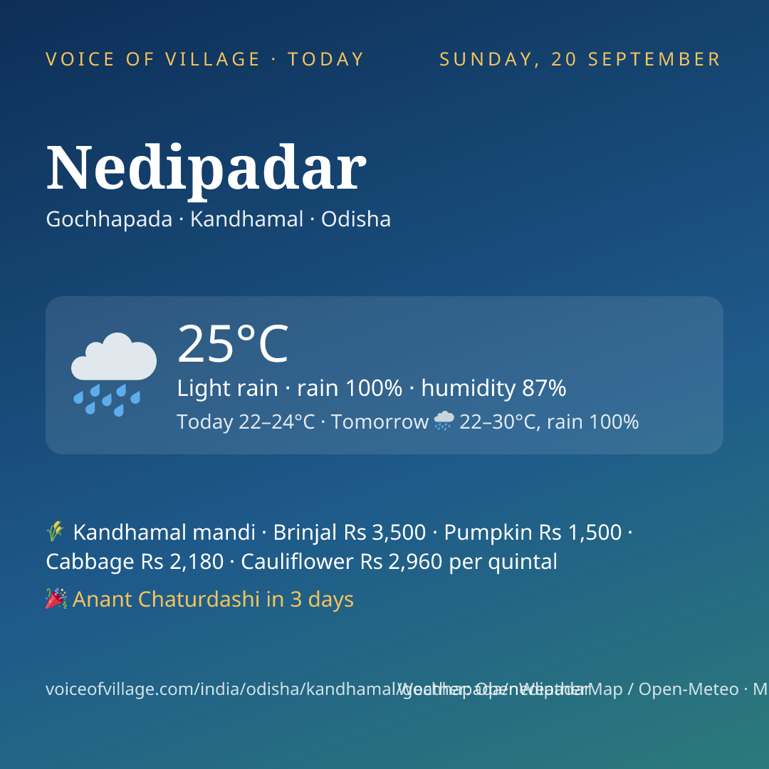 Nedipadar today