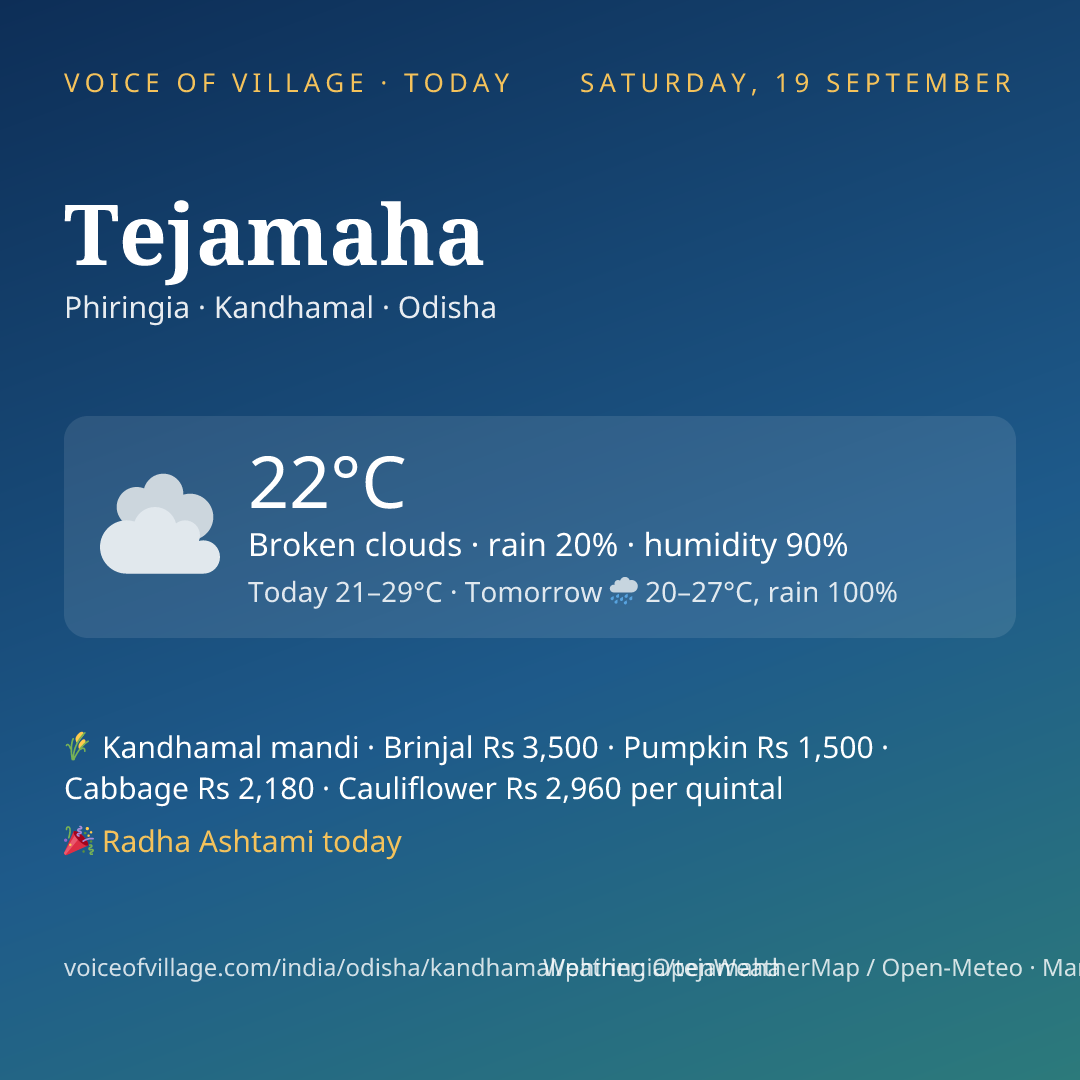 Tejamaha today