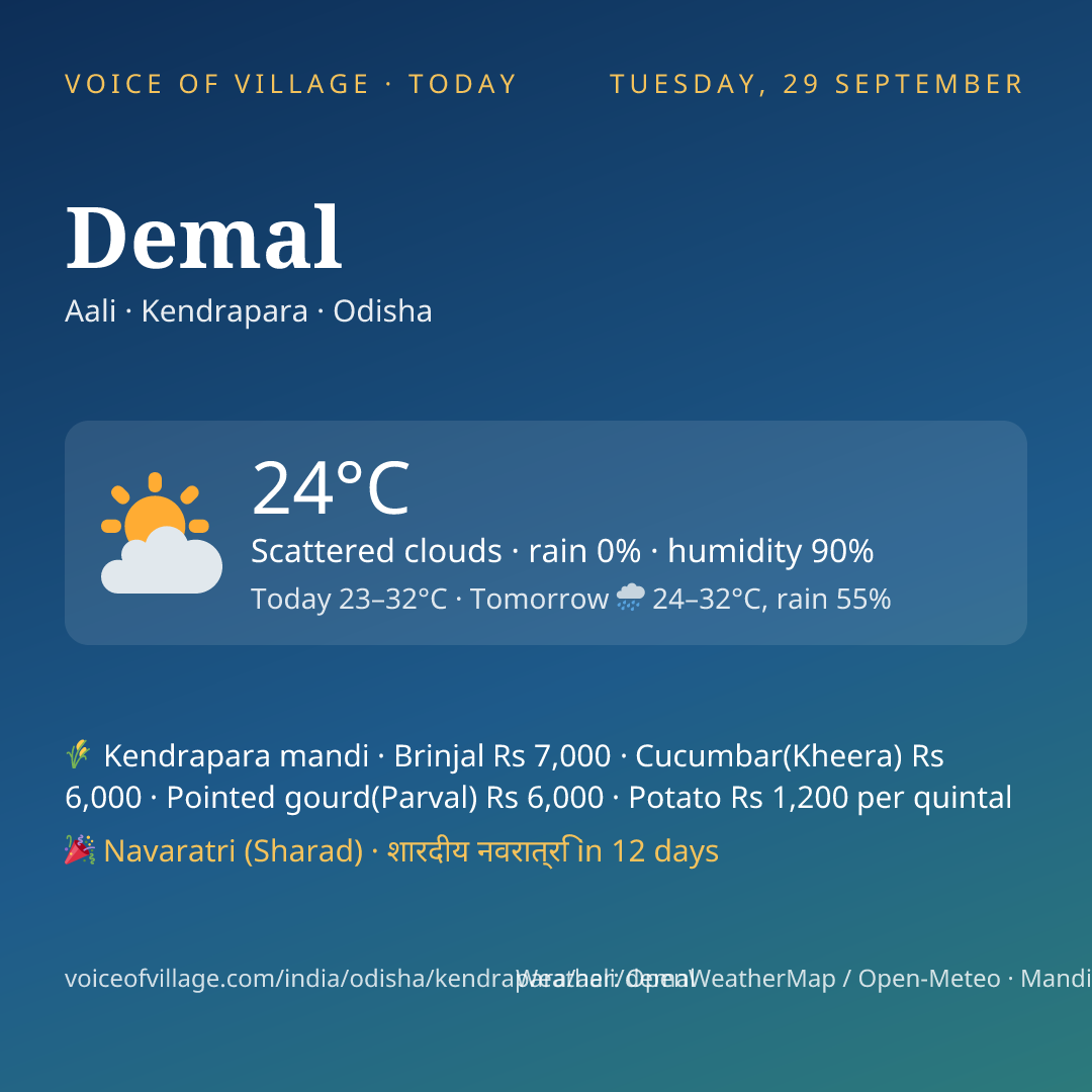 Demal today