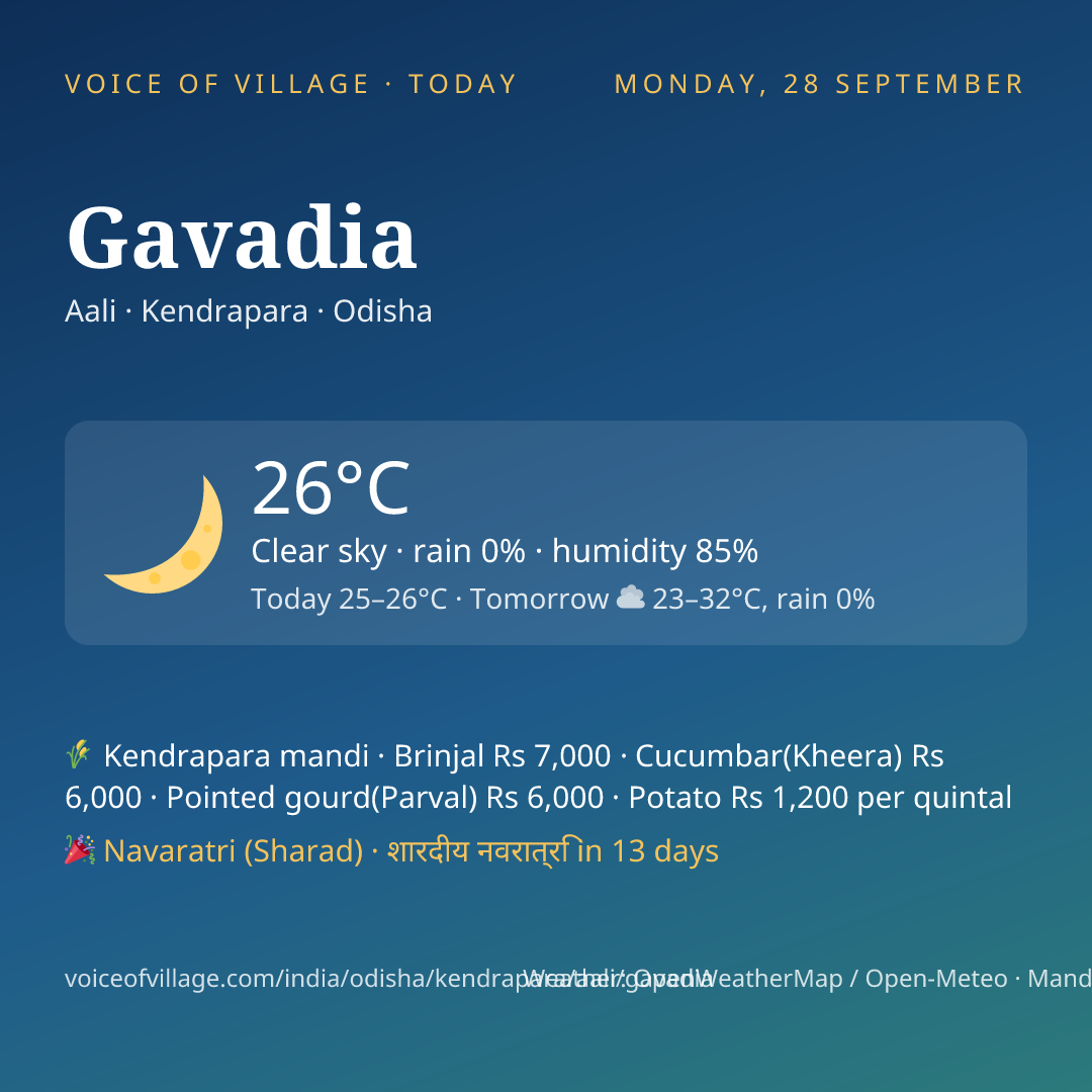 Gavadia today