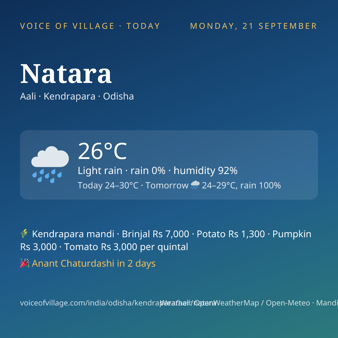 Natara today