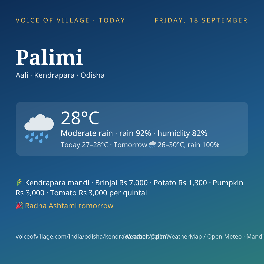 Palimi today