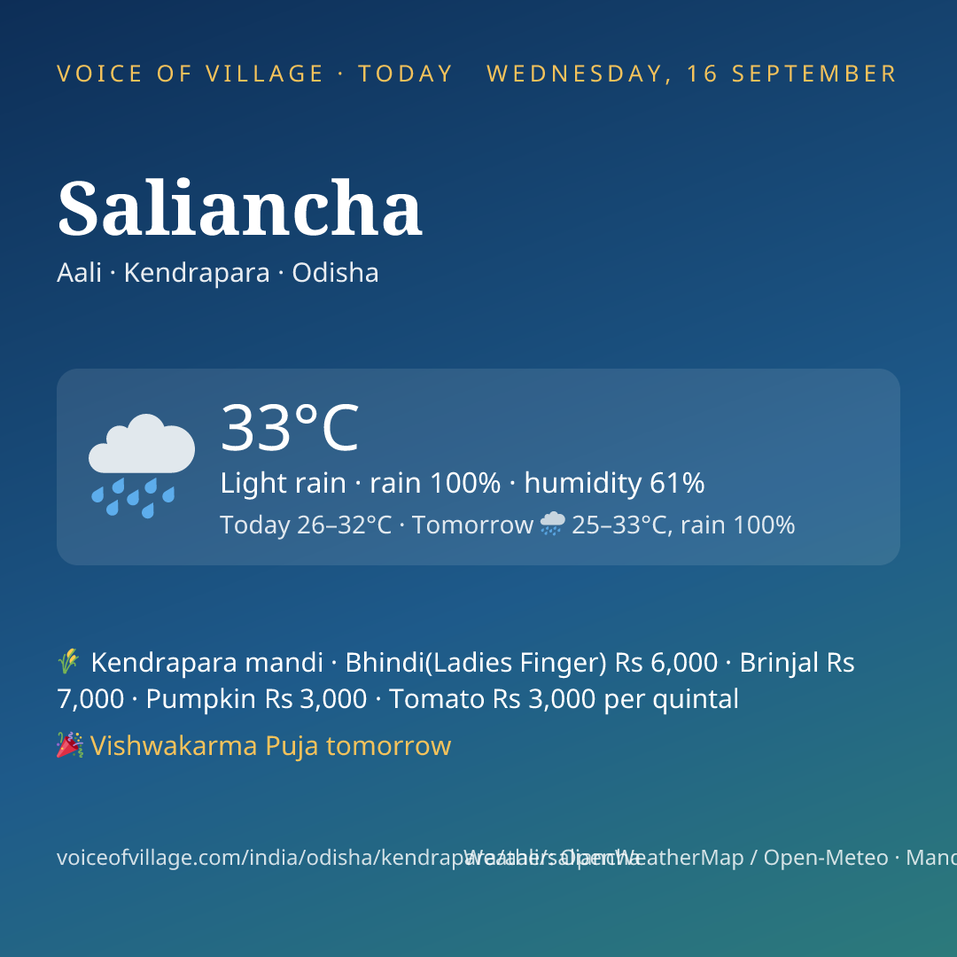 Saliancha today