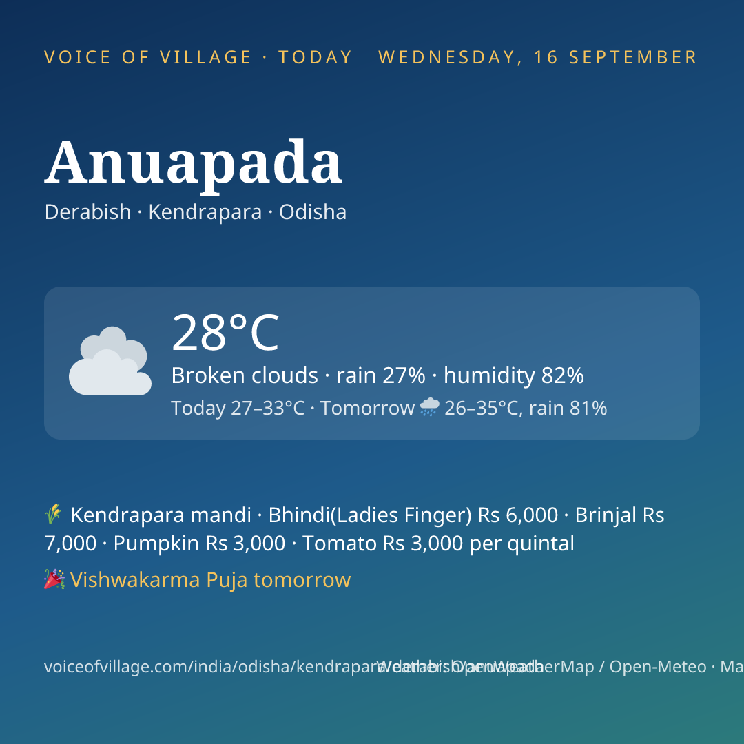 Anuapada today
