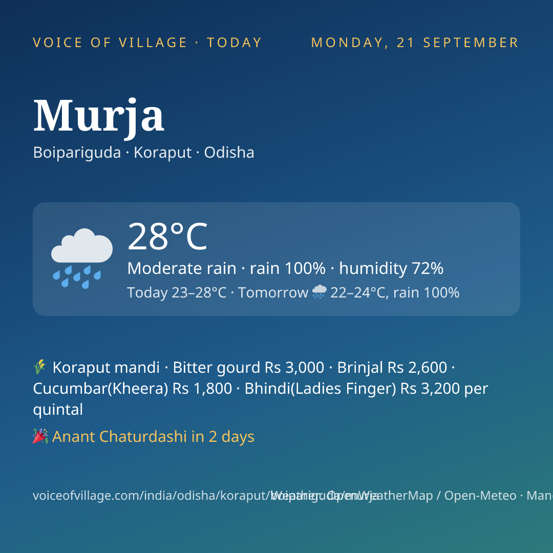Murja today