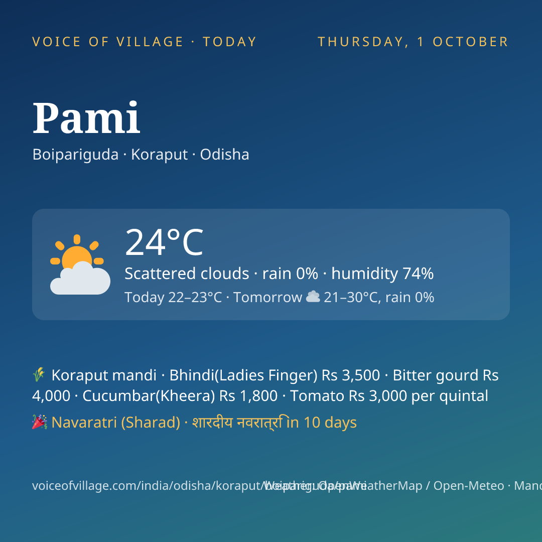Pami today