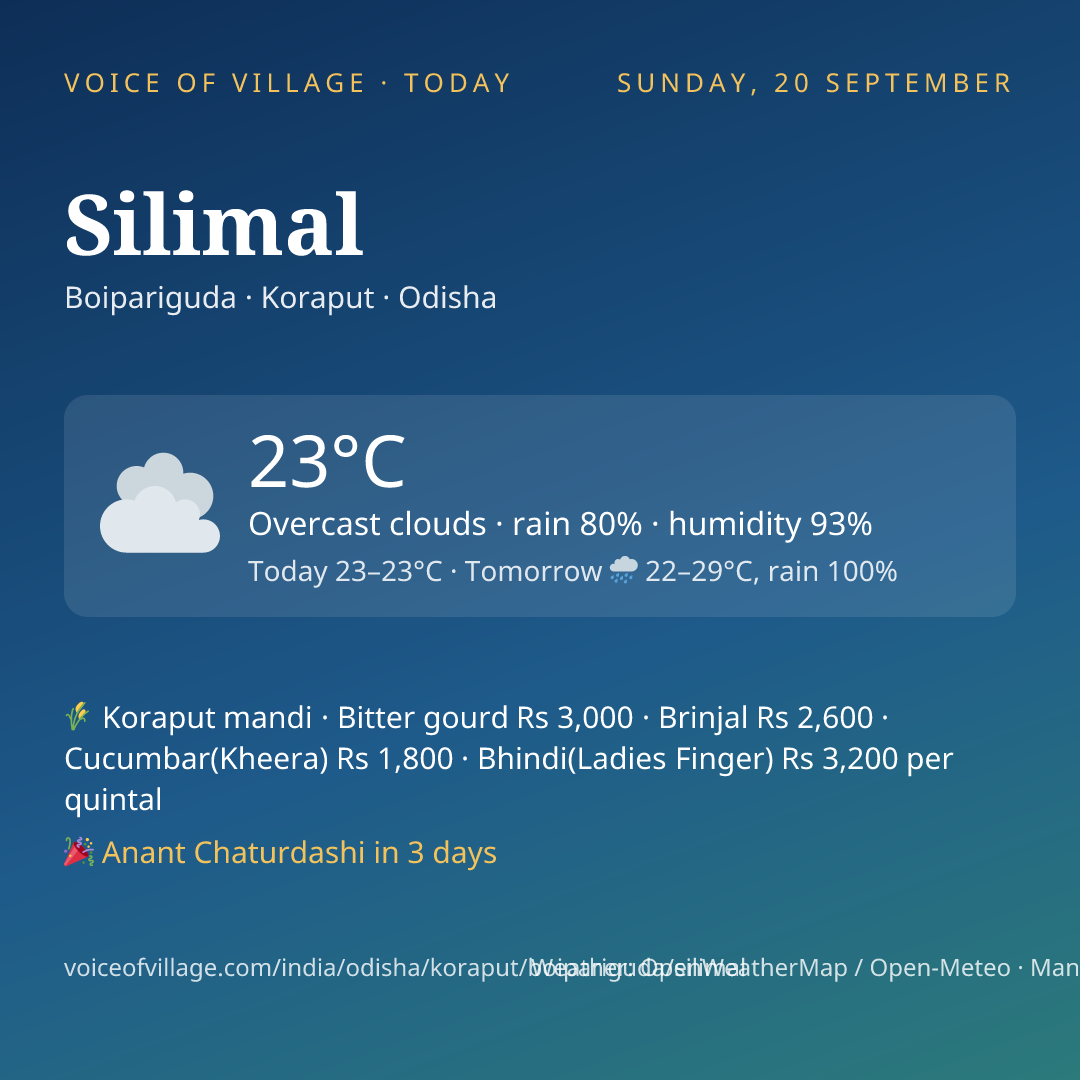Silimal today