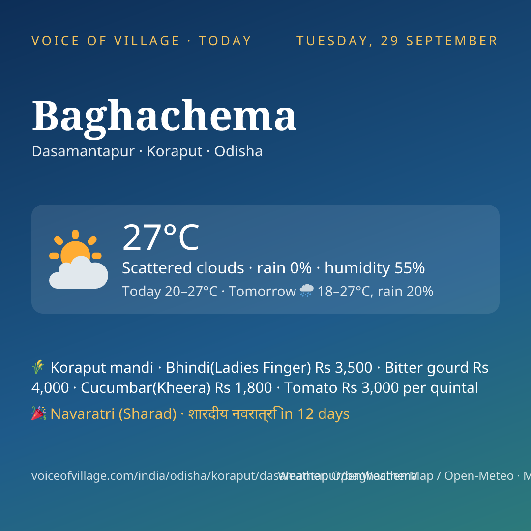 Baghachema today