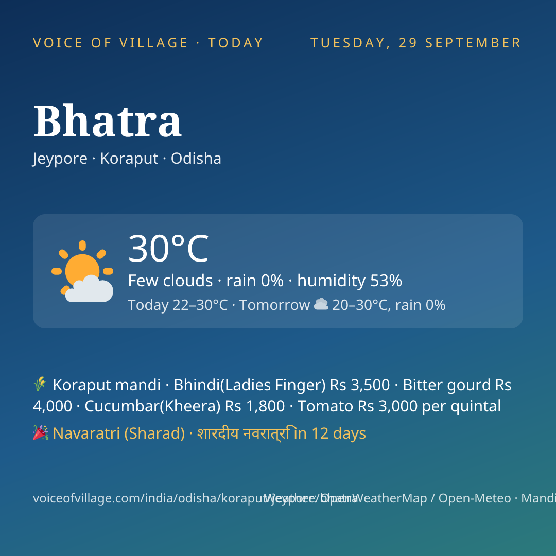 Bhatra today