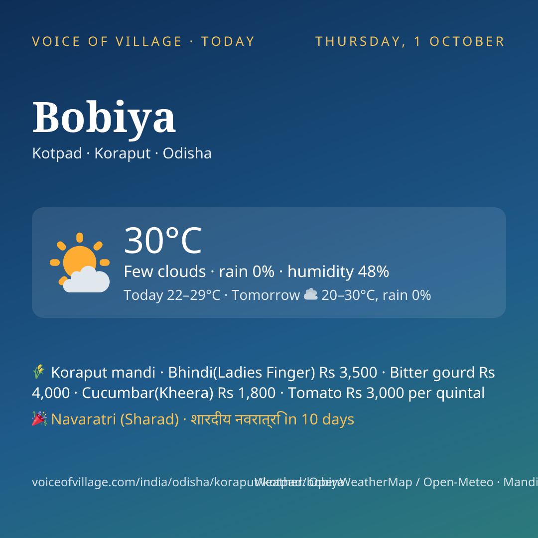 Bobiya today