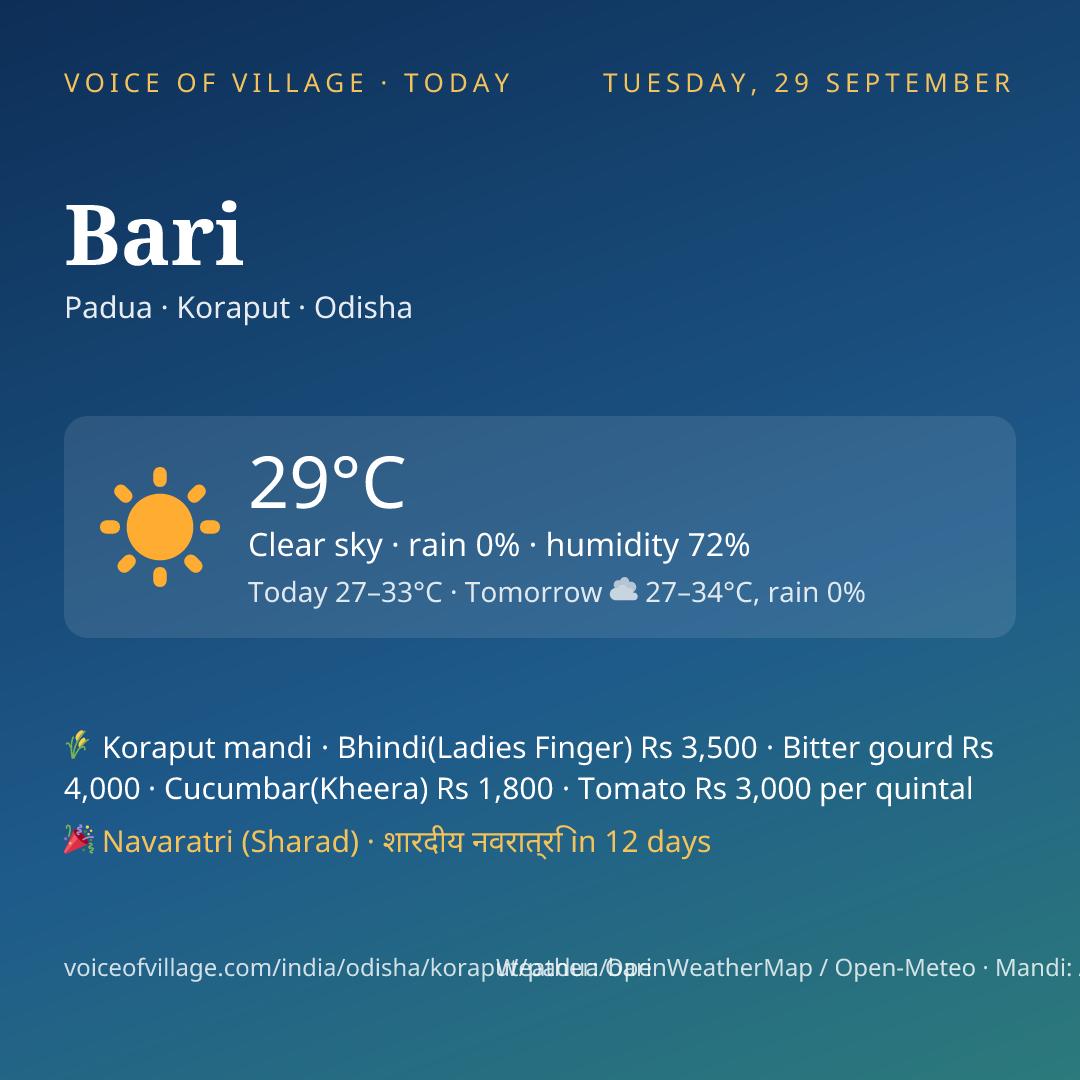 Bari today