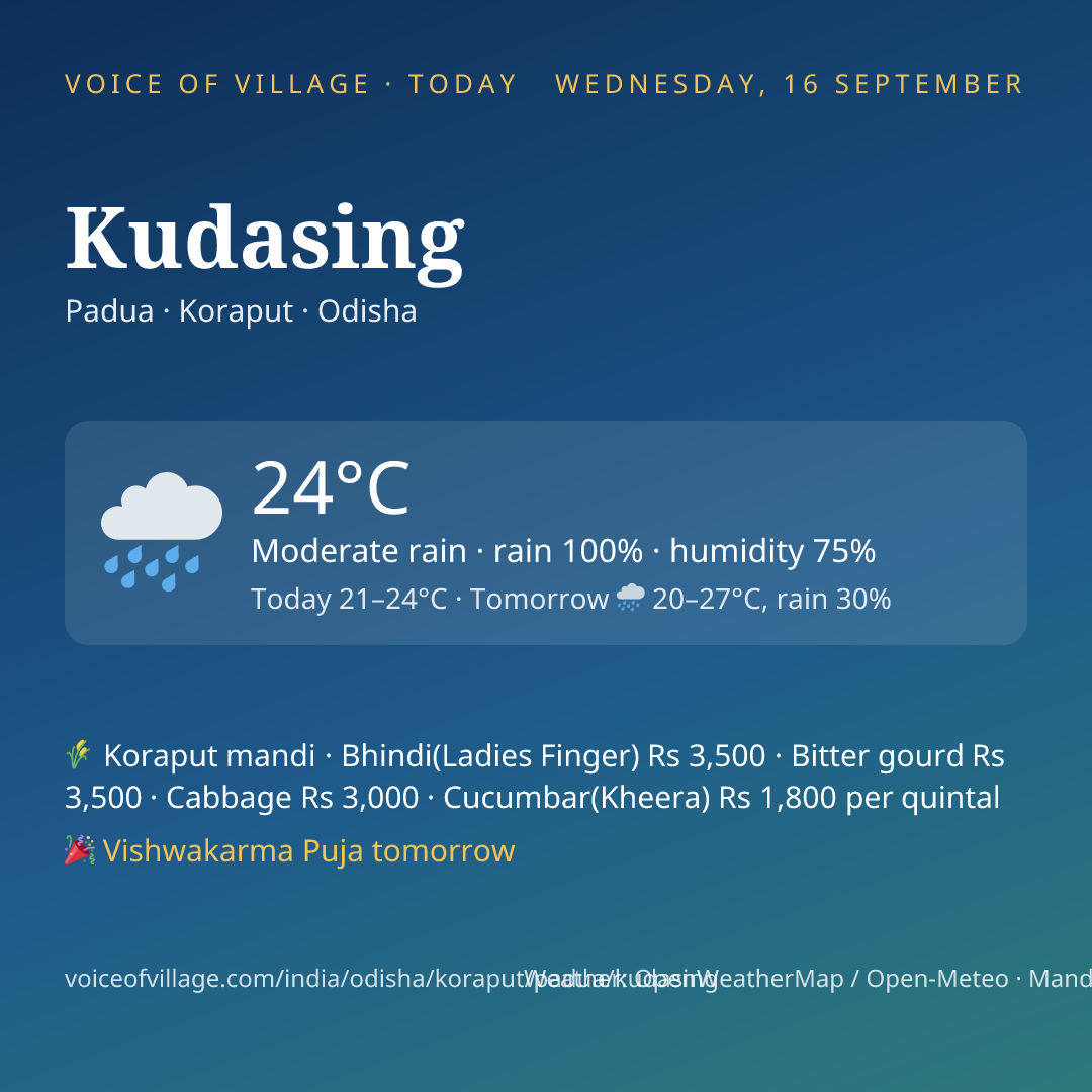 Kudasing today