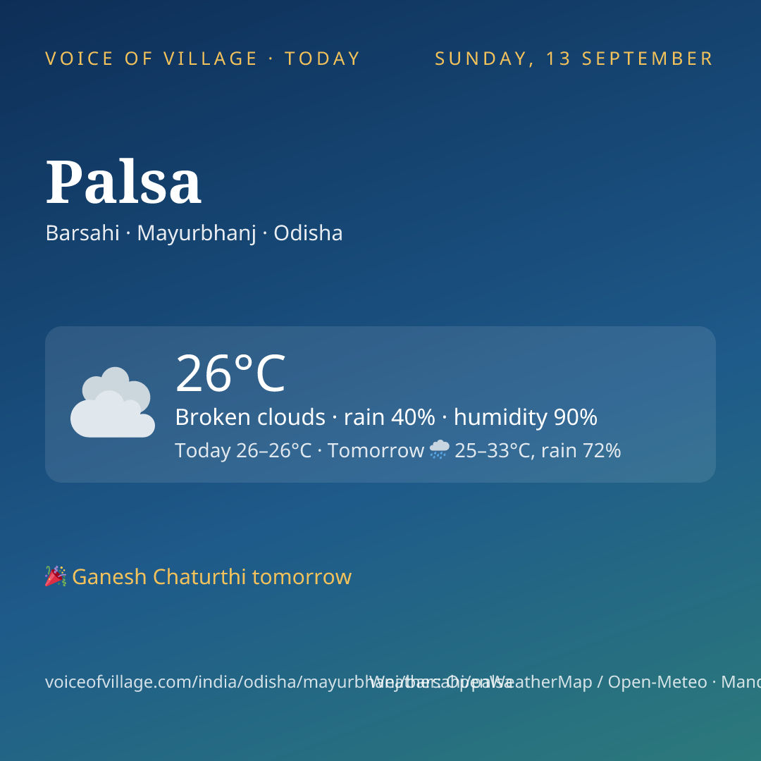 Palsa today