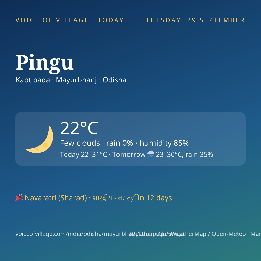 Pingu today