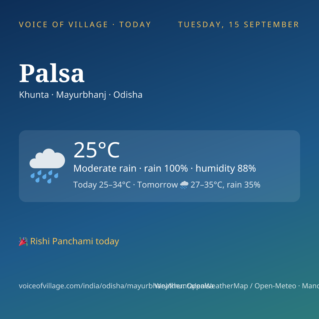 Palsa today