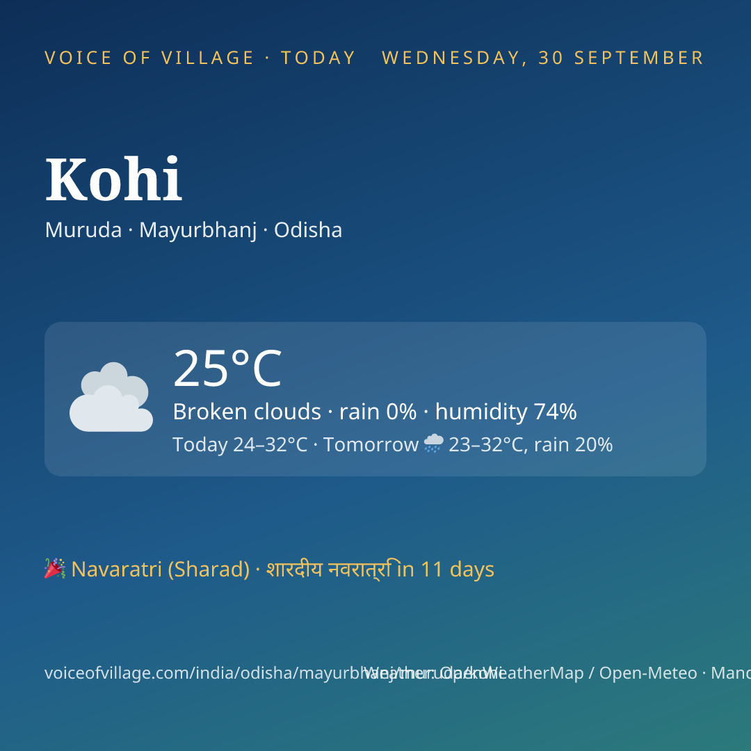 Kohi today