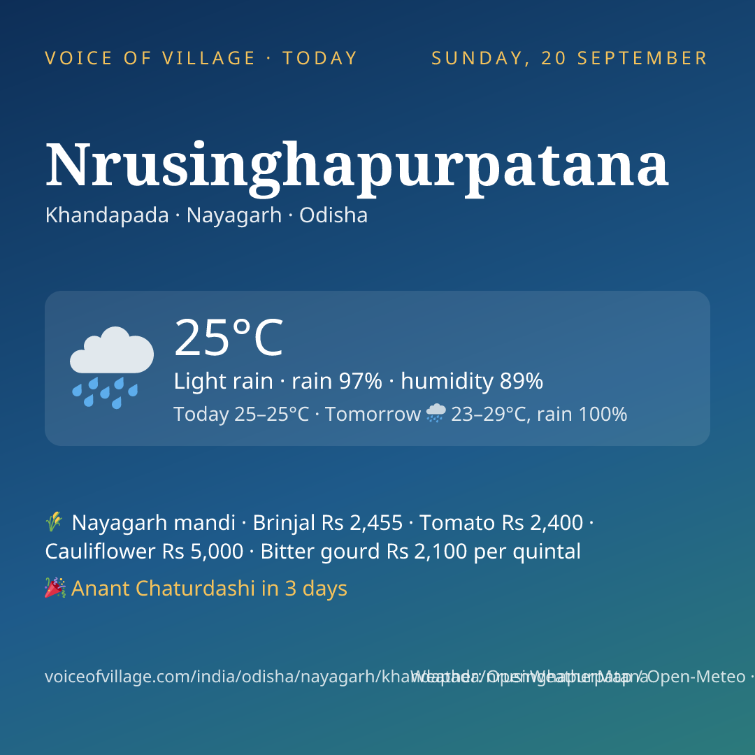 Nrusinghapurpatana today