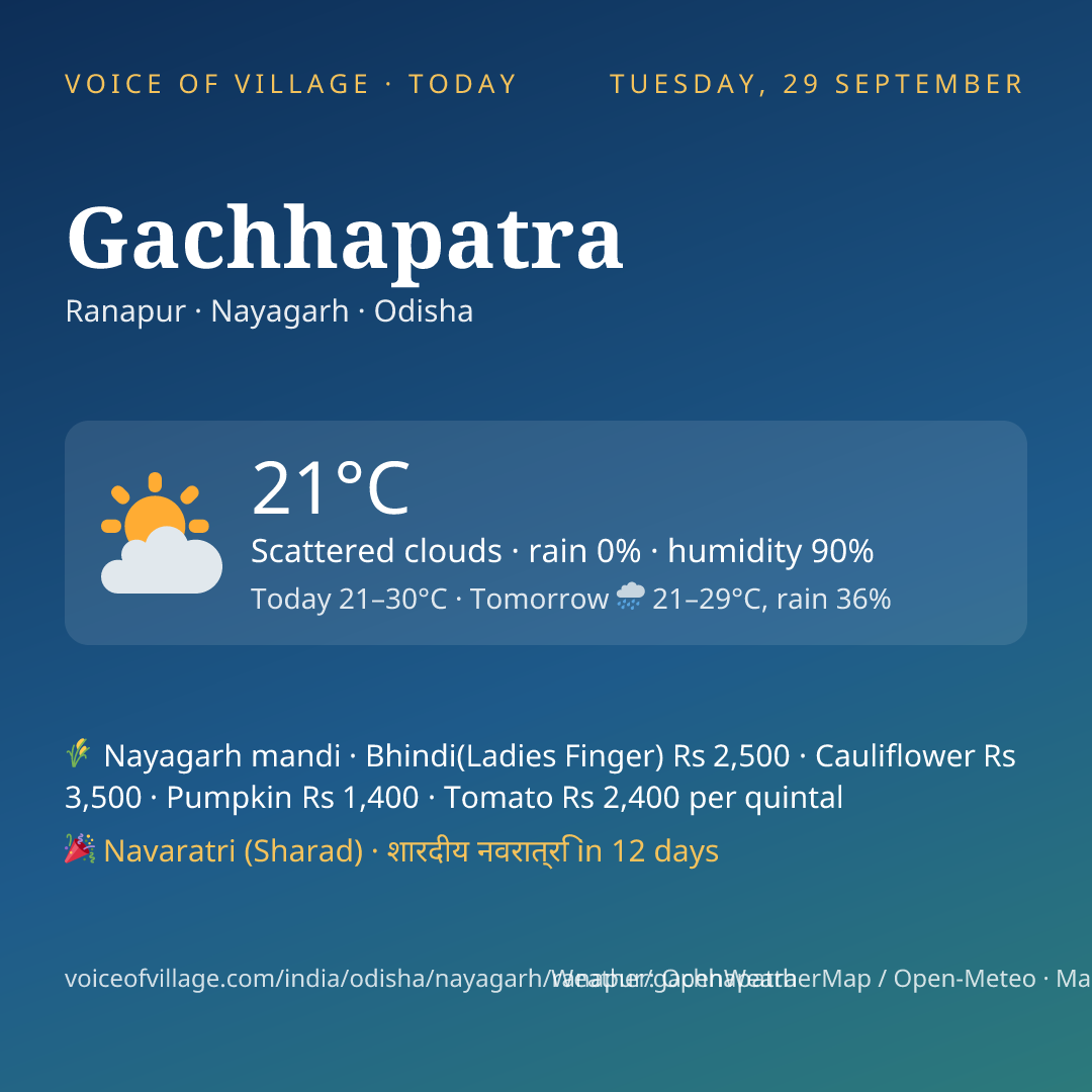 Gachhapatra today