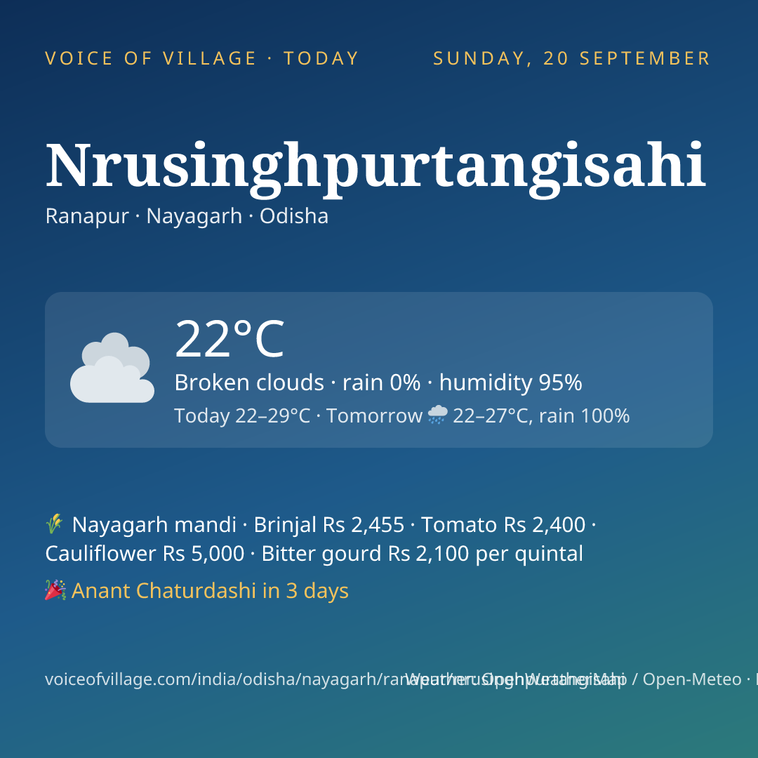 Nrusinghpurtangisahi today