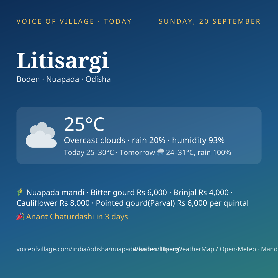 Litisargi today