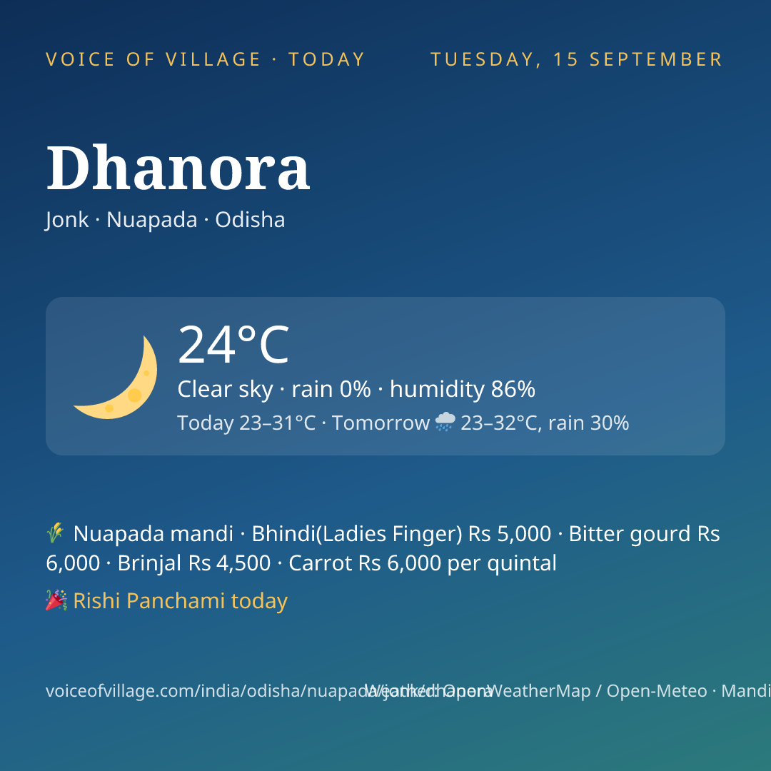 Dhanora today