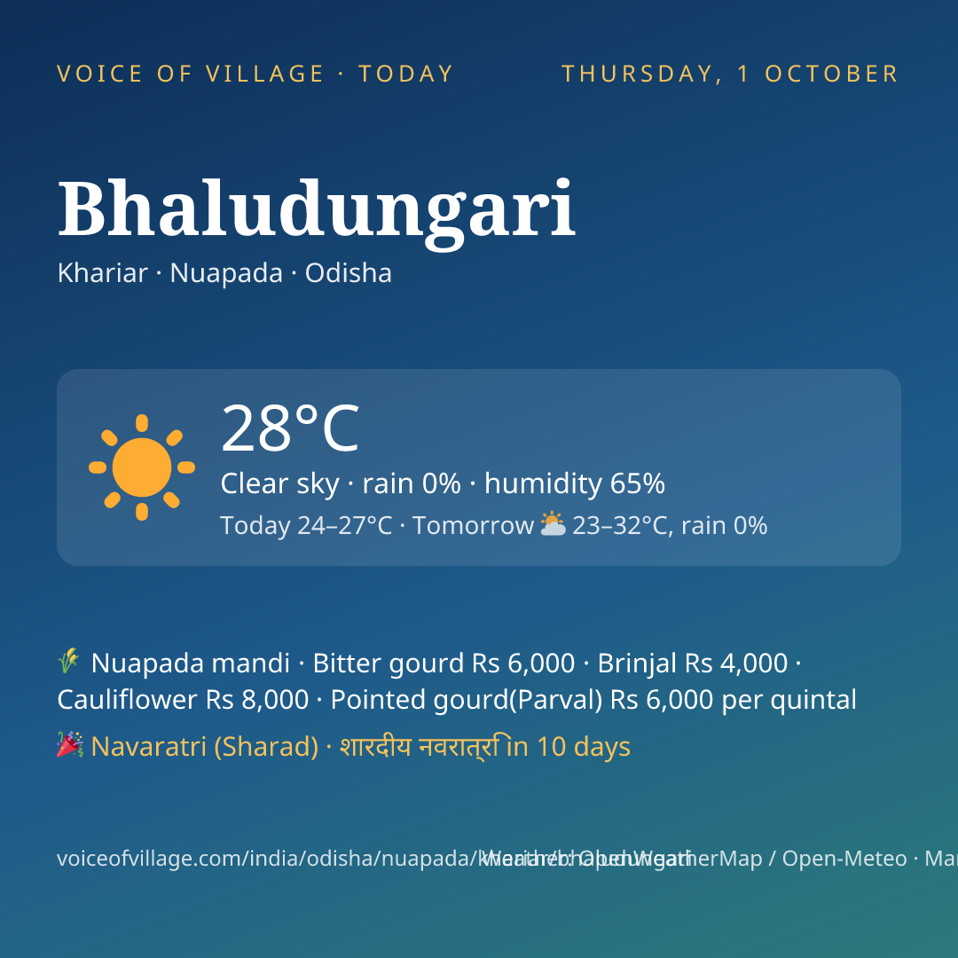 Bhaludungari today