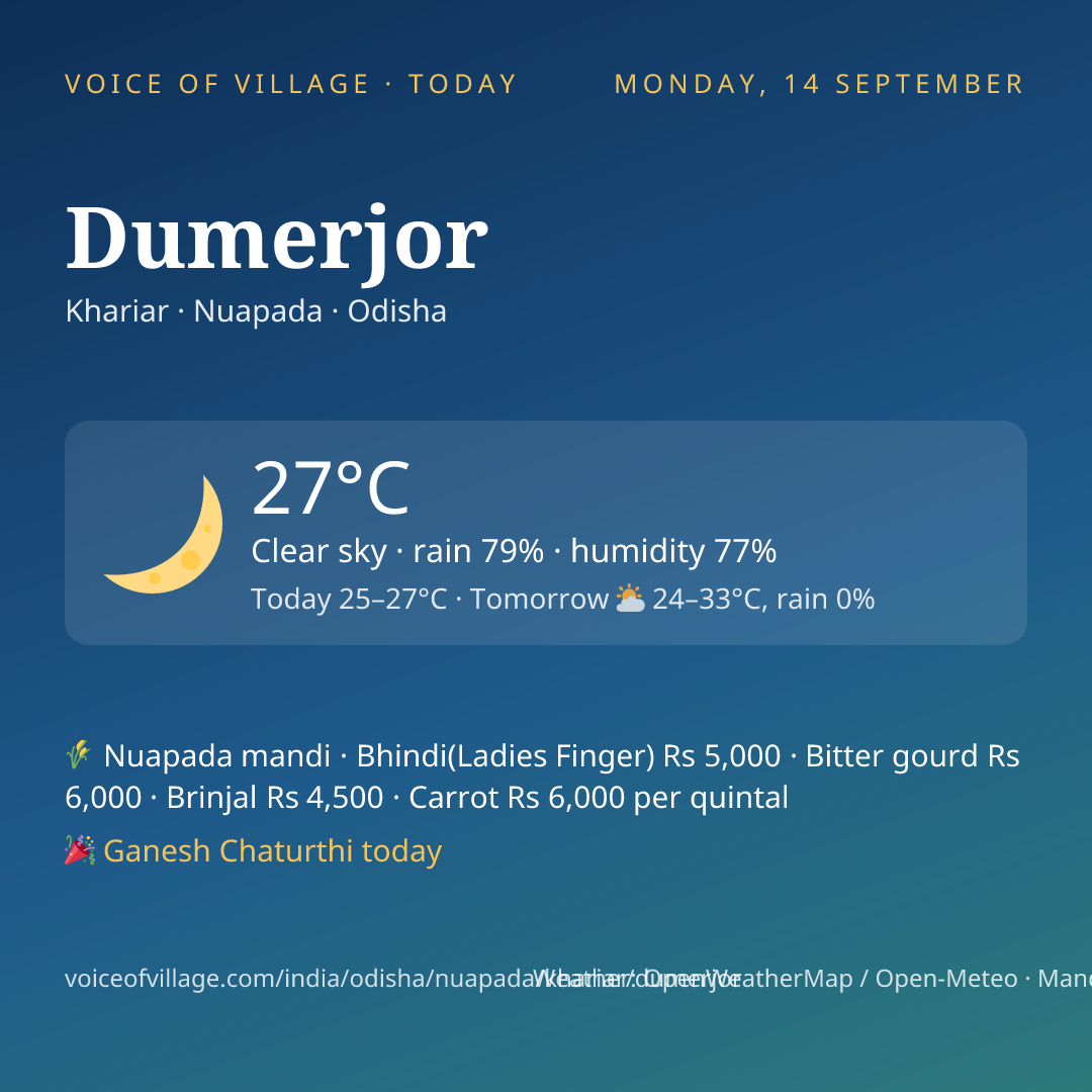 Dumerjor today