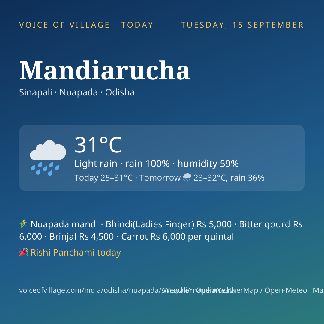 Mandiarucha today