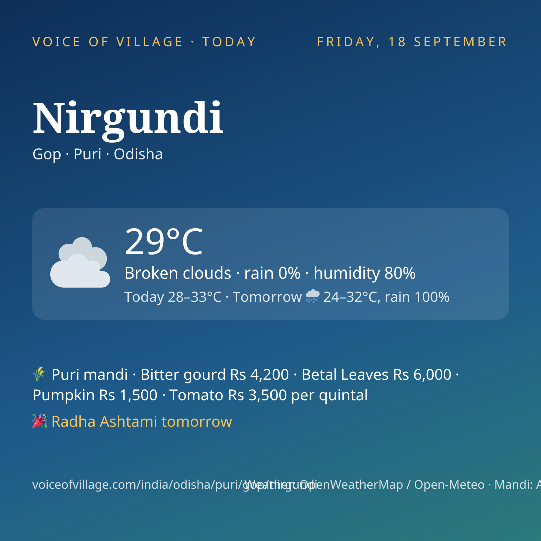 Nirgundi today