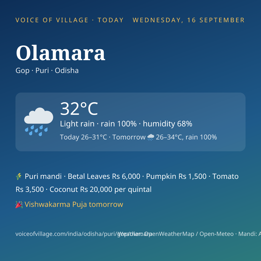 Olamara today