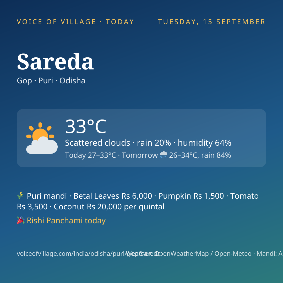 Sareda today