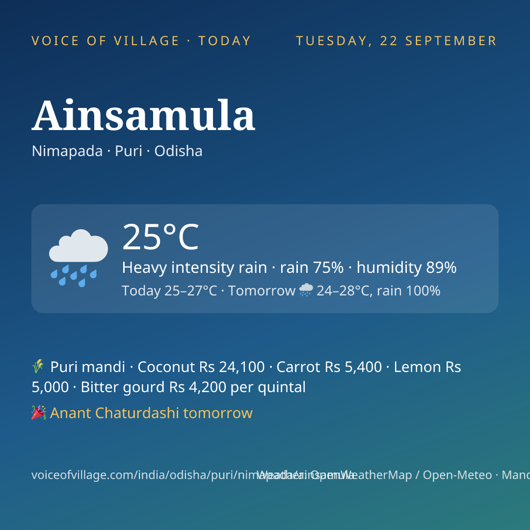 Ainsamula today