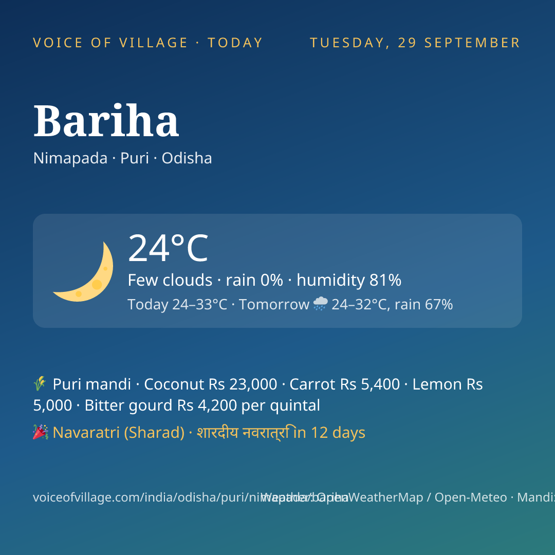 Bariha today