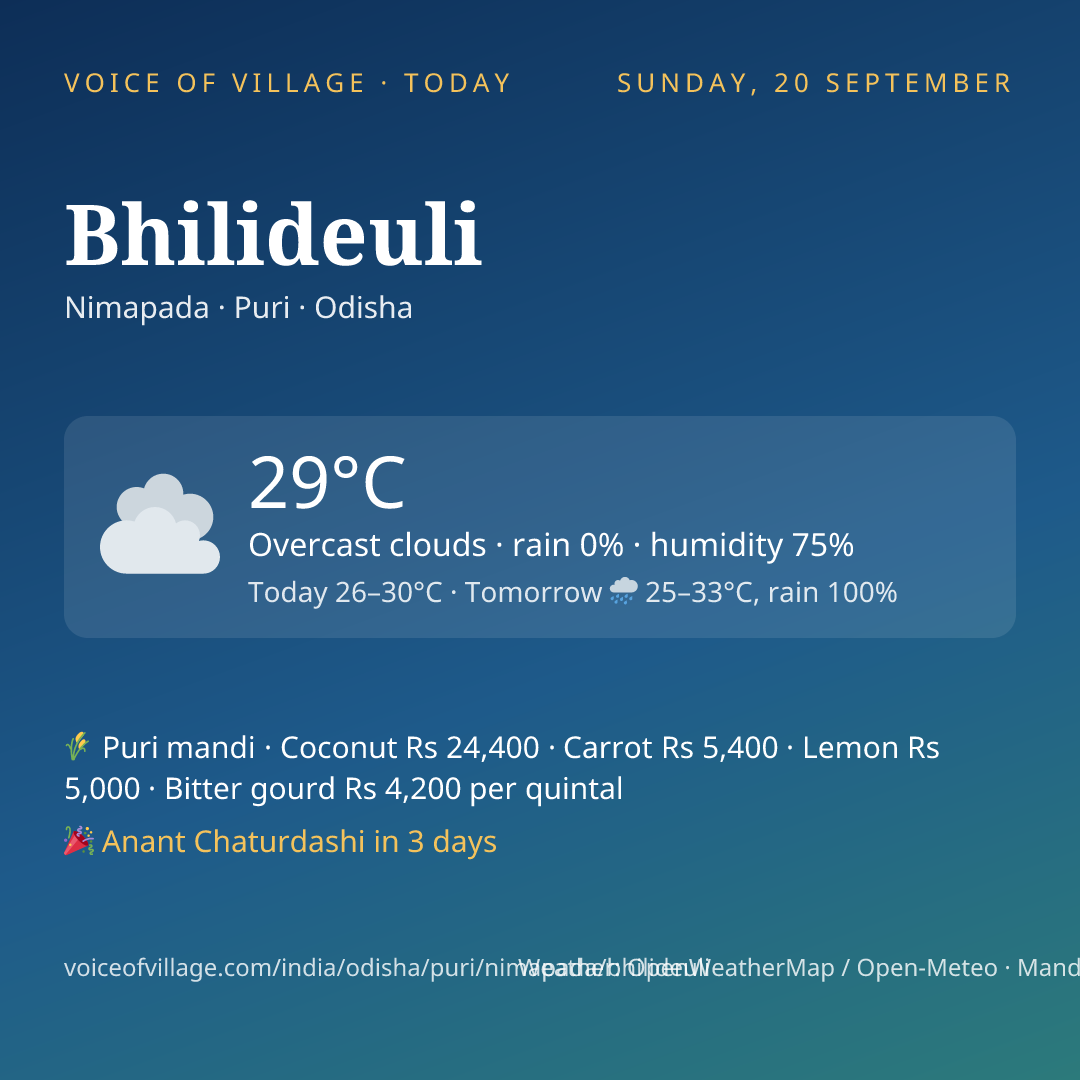 Bhilideuli today
