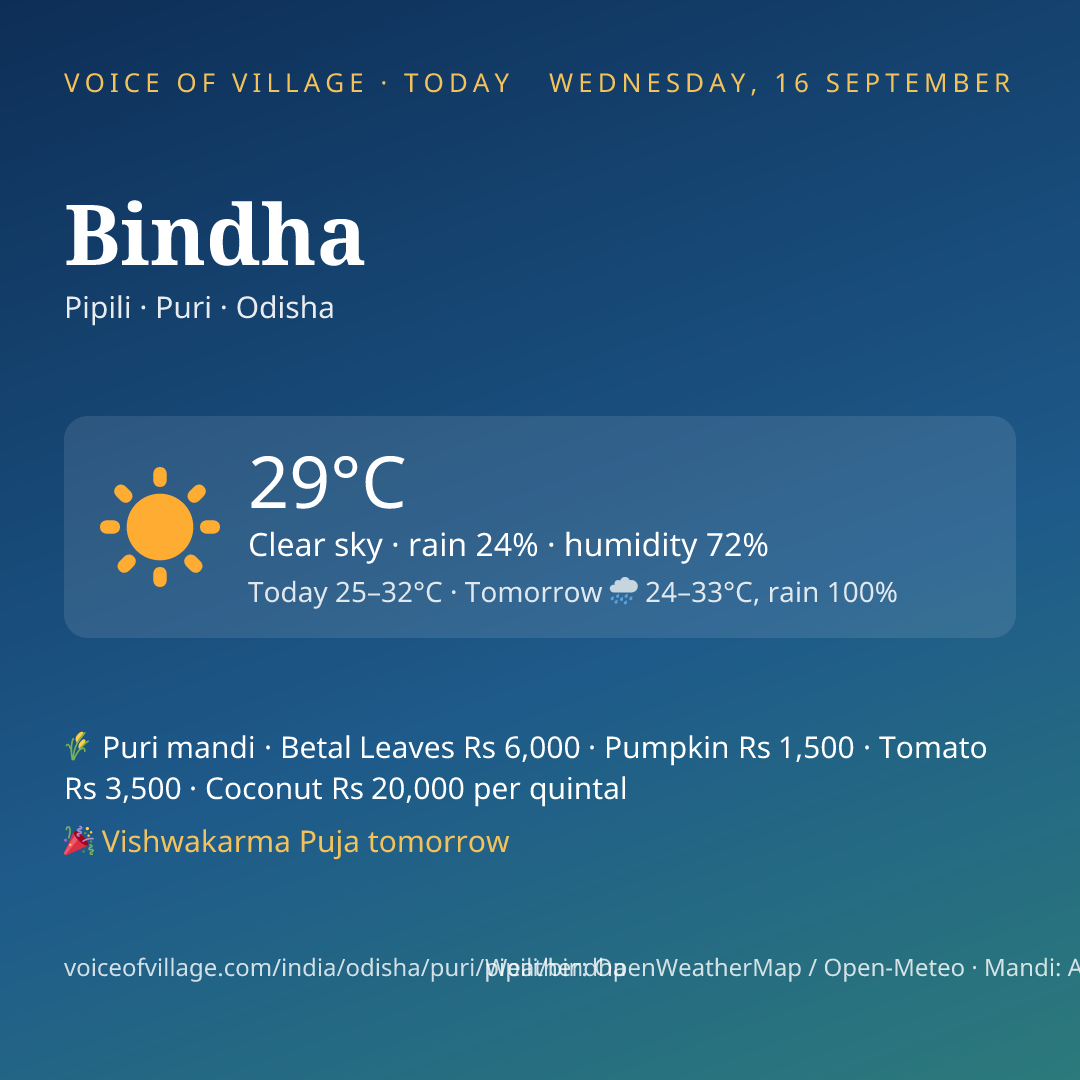Bindha today