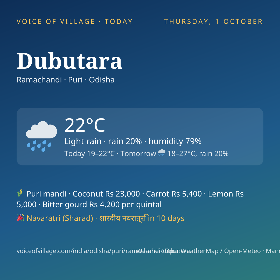 Dubutara today