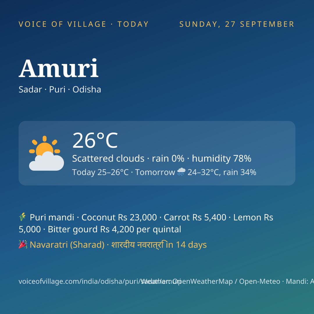 Amuri today