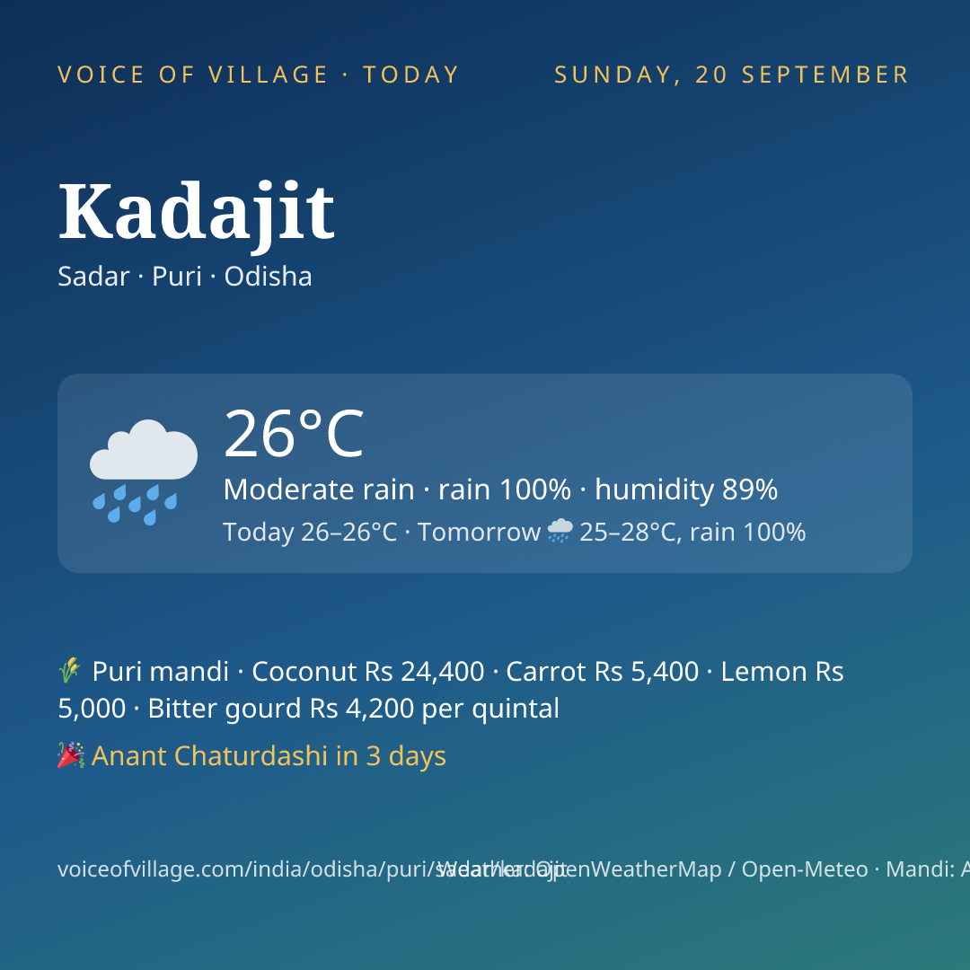 Kadajit today