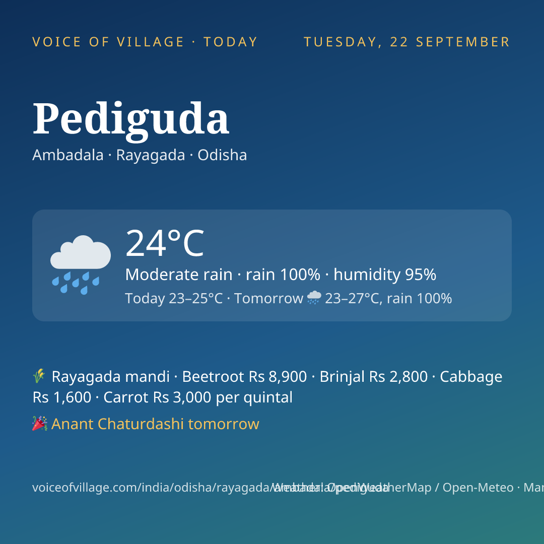 Pediguda today