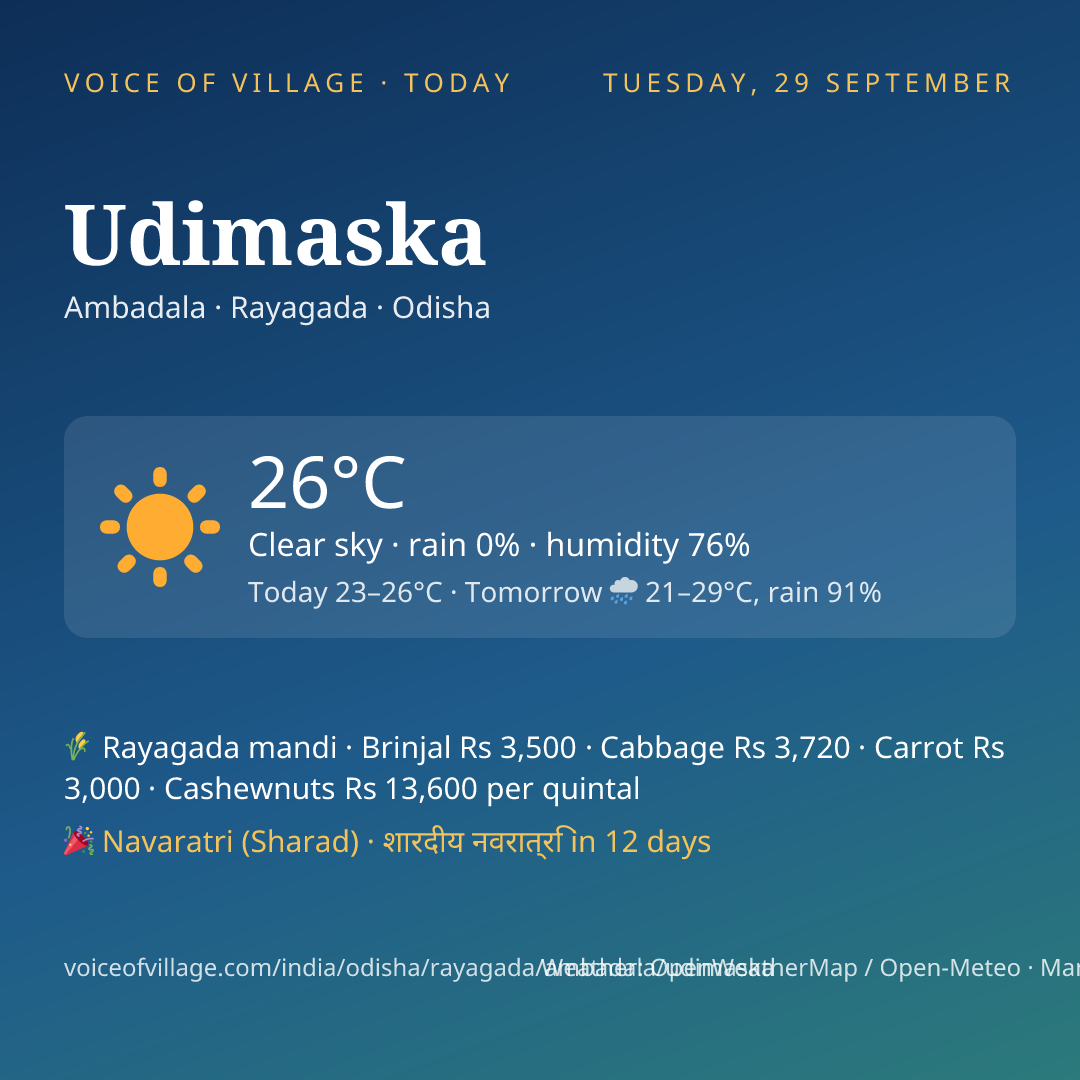 Udimaska today