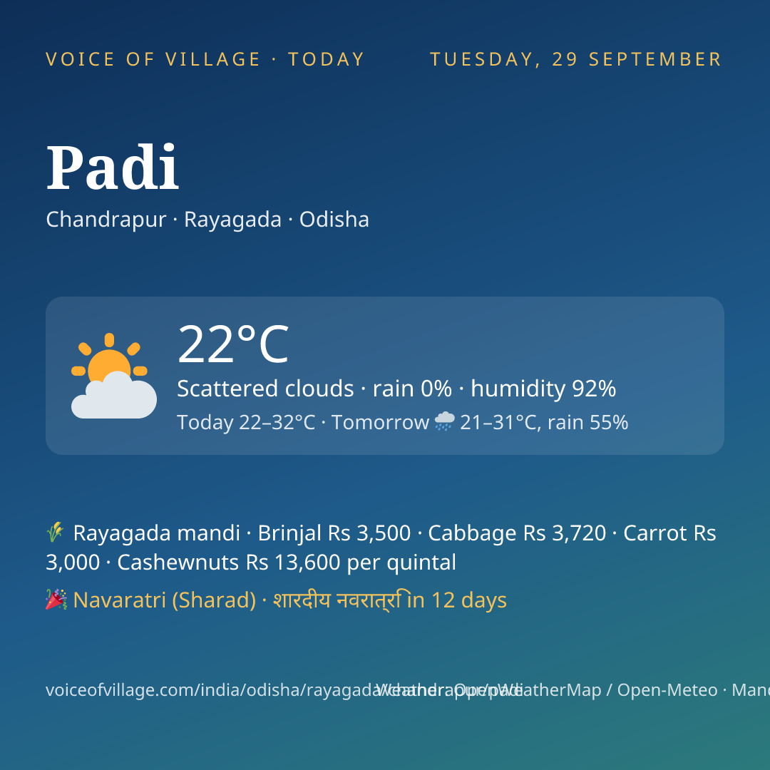 Padi today