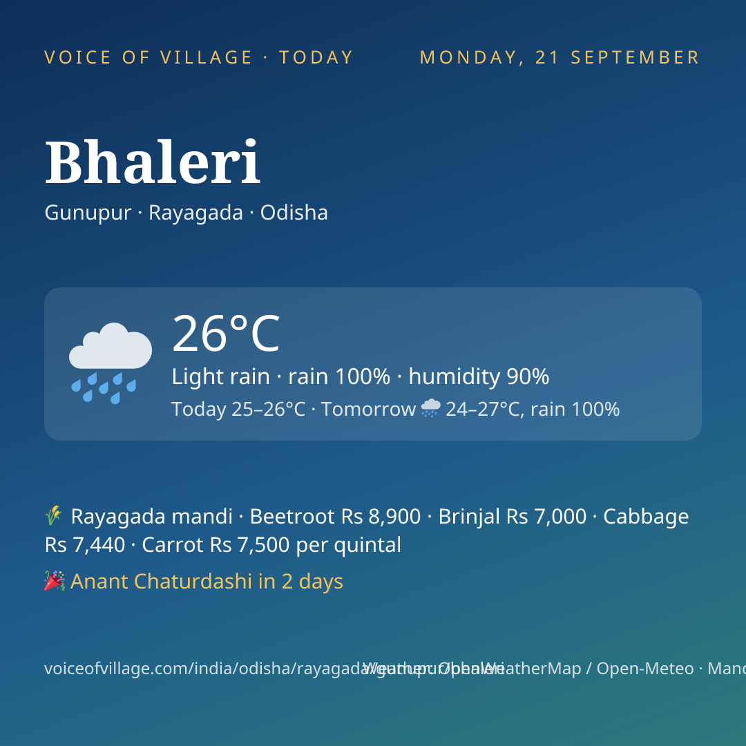 Bhaleri today