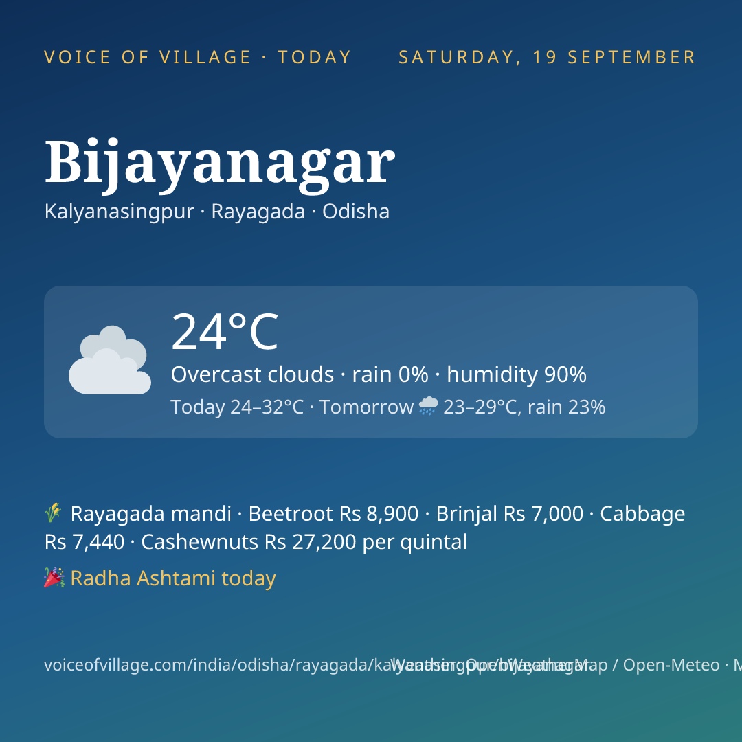 Bijayanagar today