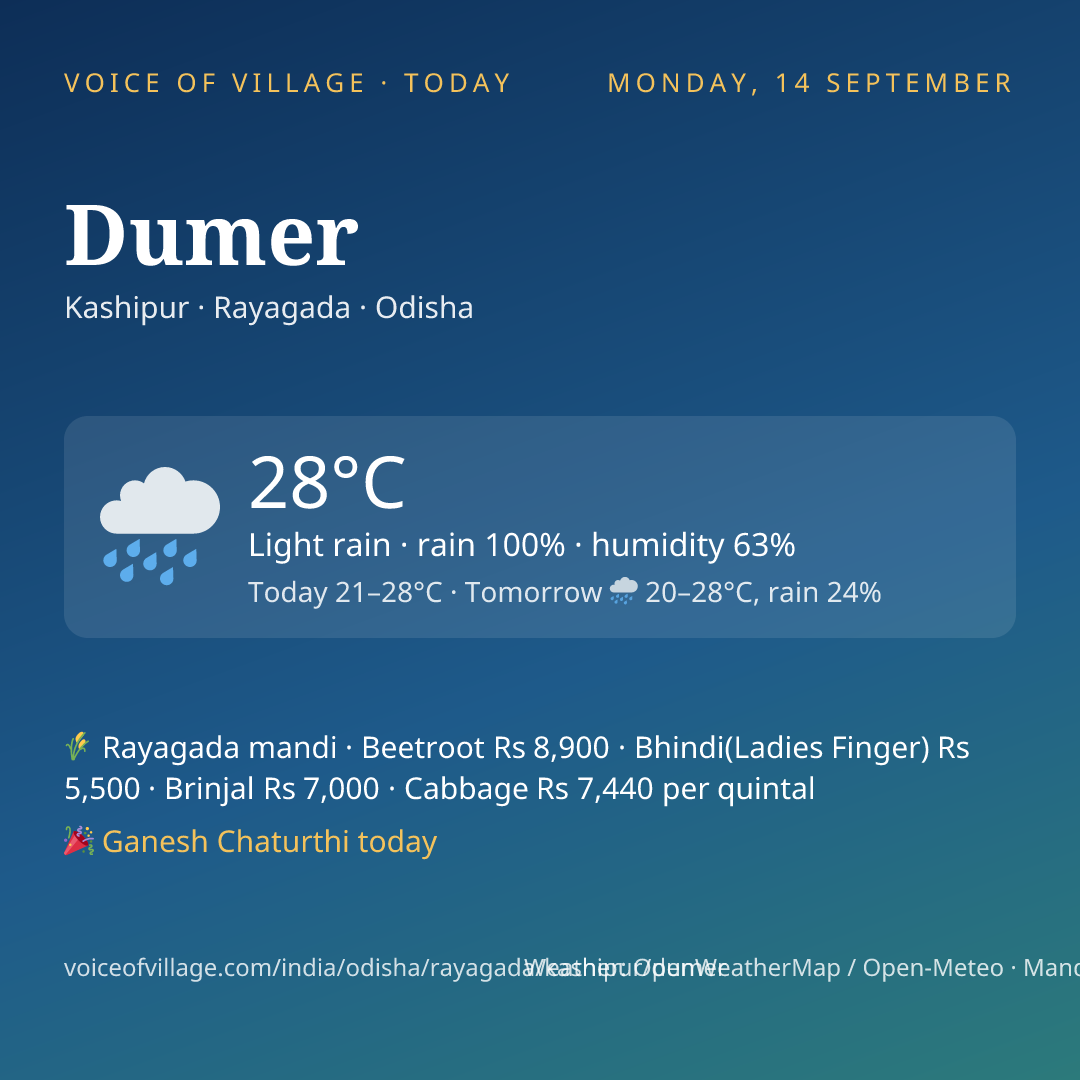 Dumer today